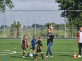 S.K.N.W.K. JO8-1 - M.Z.C. '11 JO8-3 (competitie) 2024-2025 (4e fase) (3/109)